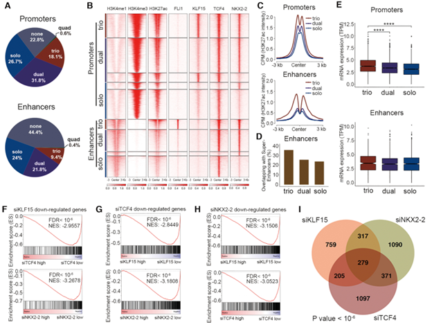 Core transcriptional regulatory circuitries in cancer1.png