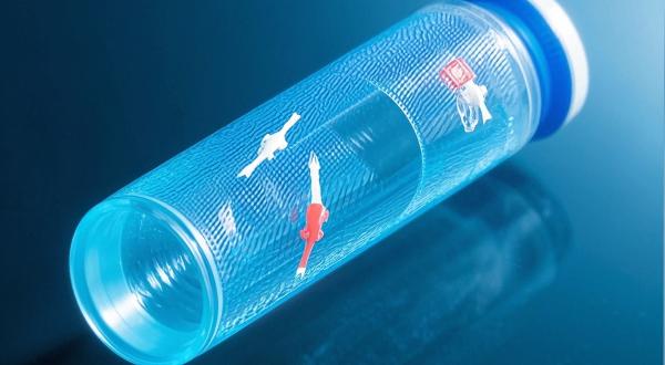 CRISPR Validation Through NGS: Analytical Approaches