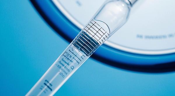 CRISPR Validation Through NGS: Analytical Approaches