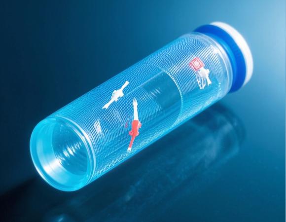 CRISPR Validation Through NGS: Analytical Approaches