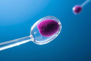 Cost-Benefit Analysis: In-House vs Outsourced NGS Data Processing