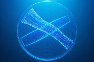 Demystifying NGS Pipelines: A Step-by-Step Workflow Breakdown
