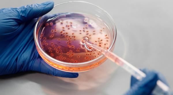 WGS in Prenatal and Newborn Screening: Ethical and Technical Challenges