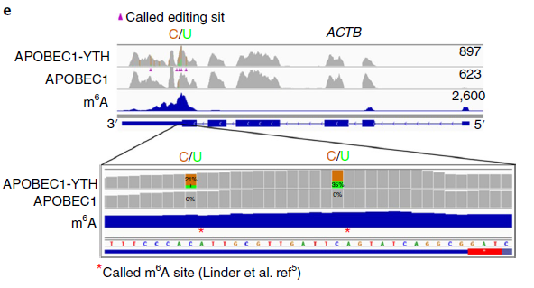 Fig. 3 - DART-seq identifies m6A-containing RNAs transcriptome wide.png