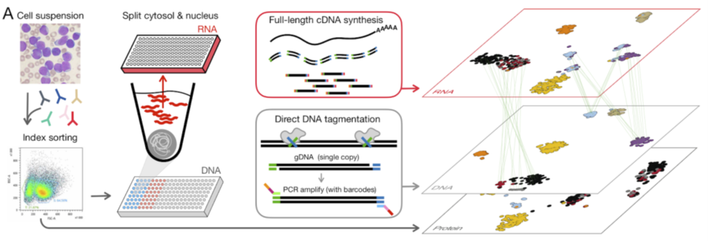 Figure 1 Schematic summary of DNTR-seq.png