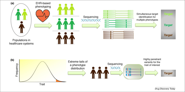 Quick Biology NGS for Drug screening_1.png