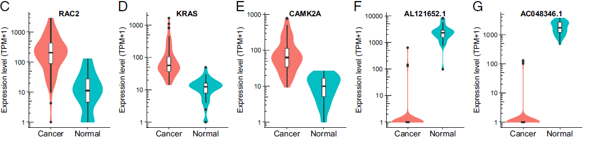 The exRNA expression in cancer and normal serum samples.png